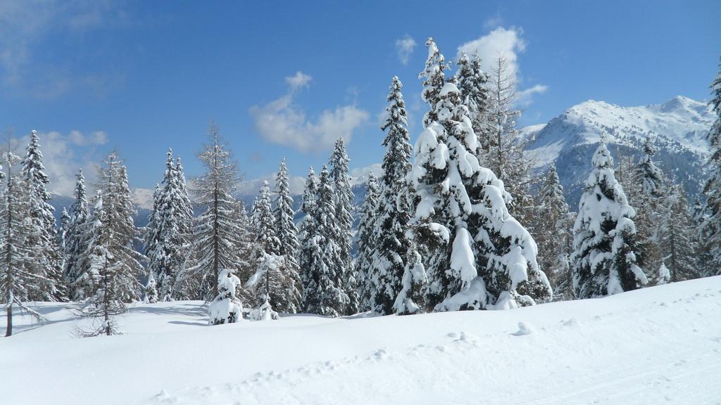Apart Franz Josef Stumm Dış mekan fotoğraf